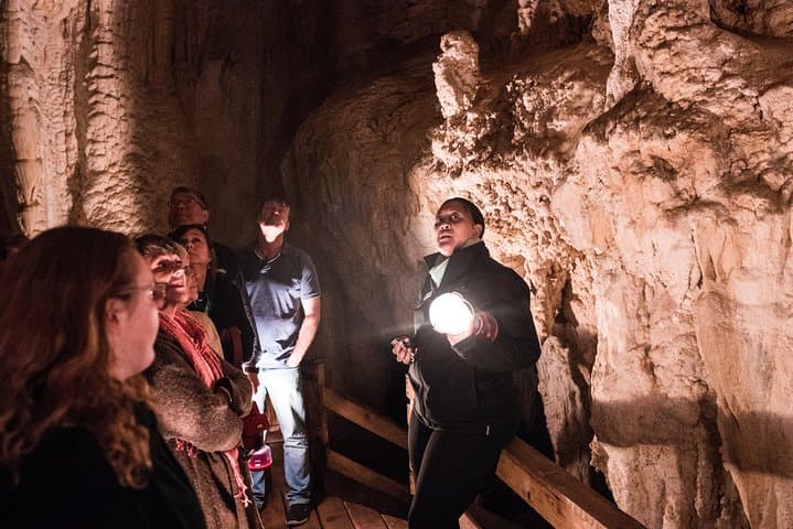 Bay of Islands Glow Worm Caves & Scenic Shore Excursion from Paihia photo 2
