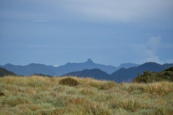Skip the Line: Horton Plains Entrance Ticket & Guided Walk to World's End photo 6