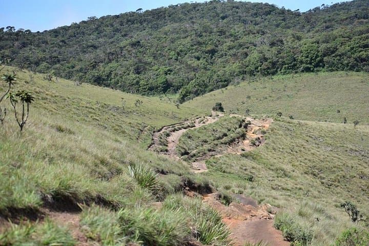 Skip the Line: Horton Plains Entrance Ticket & Guided Walk to World's End photo 3