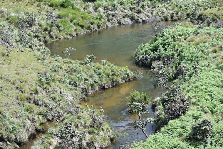 Skip the Line: Horton Plains Entrance Ticket & Guided Walk to World's End photo 2