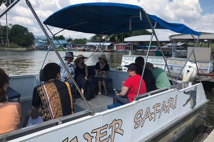YS Falls & Black River Safari: Private Day Trip from Montego Bay
