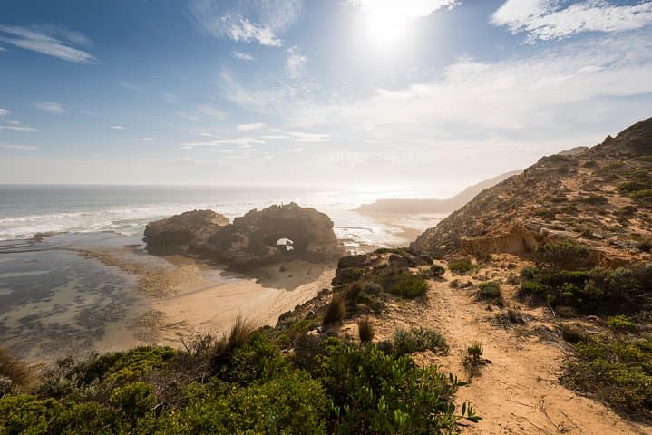 Mornington Peninsula Sightseeing & Bay Cruise — Sorrento to Queenscliff Day Tour photo 2
