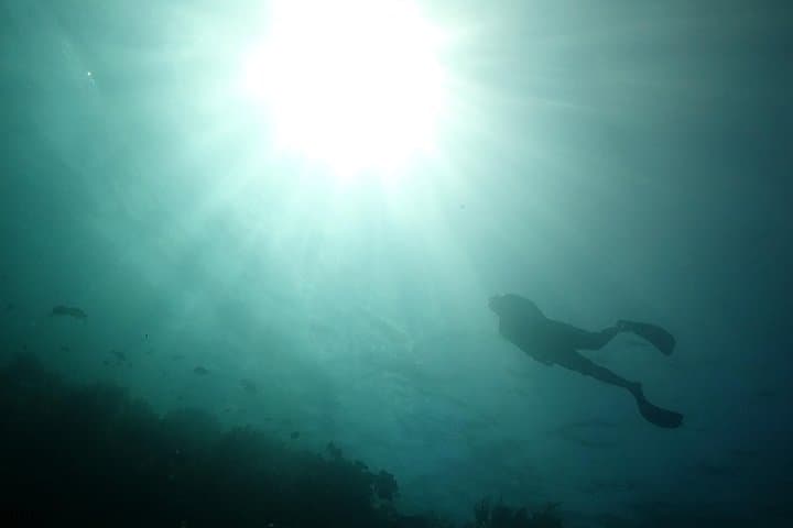 PADI Open Water Course in Menjangan — 3–4 Day Scuba Certification in Bali photo 4