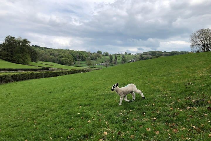 Lake District Day Tour from Liverpool with Lake Cruise and Hawkshead Visit photo 2