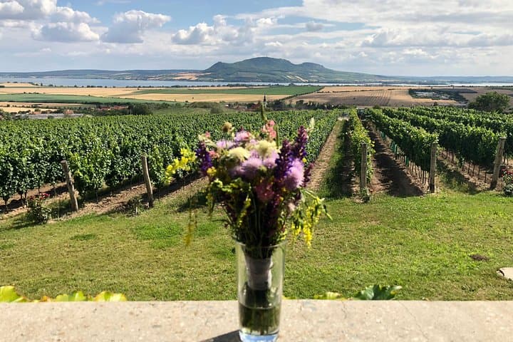 Prague to Moravia: 3-Day Private Wine Tasting in Mikulov, Pálava & Lednice photo 2