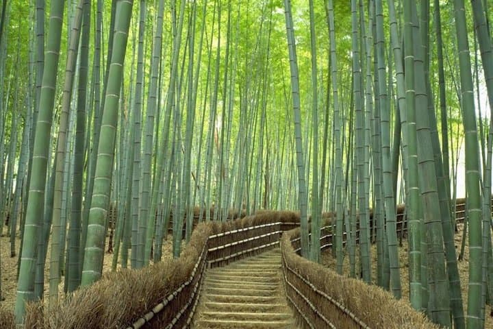 Private Kyoto Day Trip by Car: Arashiyama, Kinkaku-ji, Kiyomizu & Fushimi Inari