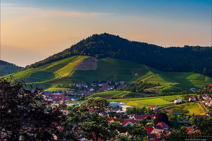 Black Forest Day Tour: Baden-Baden to Strasbourg via Mummelsee & the High Road photo 5