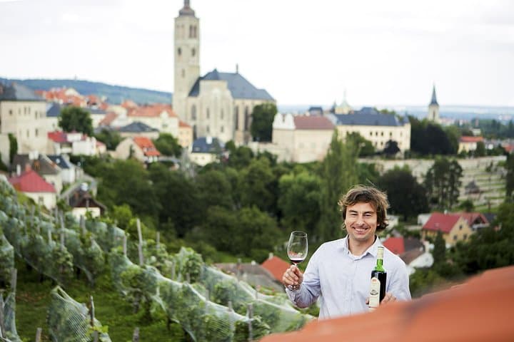 Kutna Hora UNESCO Private Wine Experience — Biodynamic Winery, Cellar Tour & Ossuary photo 6