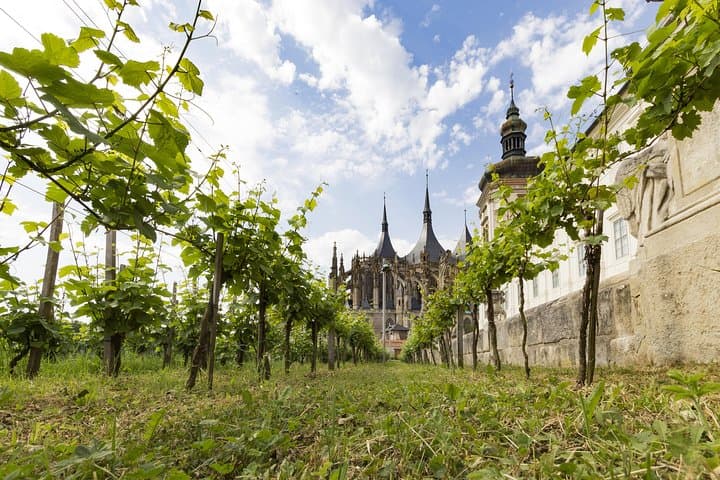 Kutna Hora UNESCO Private Wine Experience — Biodynamic Winery, Cellar Tour & Ossuary photo 3
