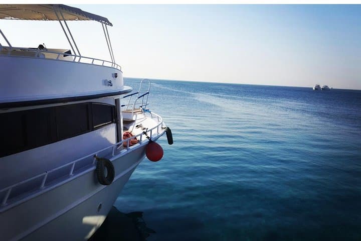 Morning Dolphin House Snorkel and Breakfast from Hurghada photo 2