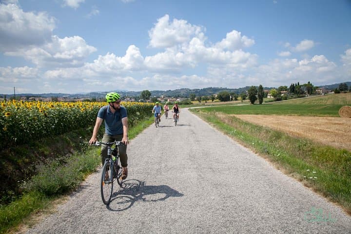 Umbria E‑Bike and Wine Tour Through Vineyards and Olive Groves (Bevagna) photo 2