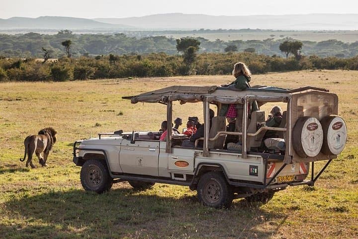 Cape Town 3-Day: Aquila Safari, Winelands & Robben Island Tour photo 1