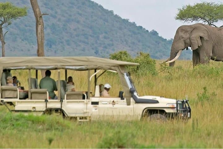 Cape Town 2-Day Aquila Safari and Robben Island Getaway