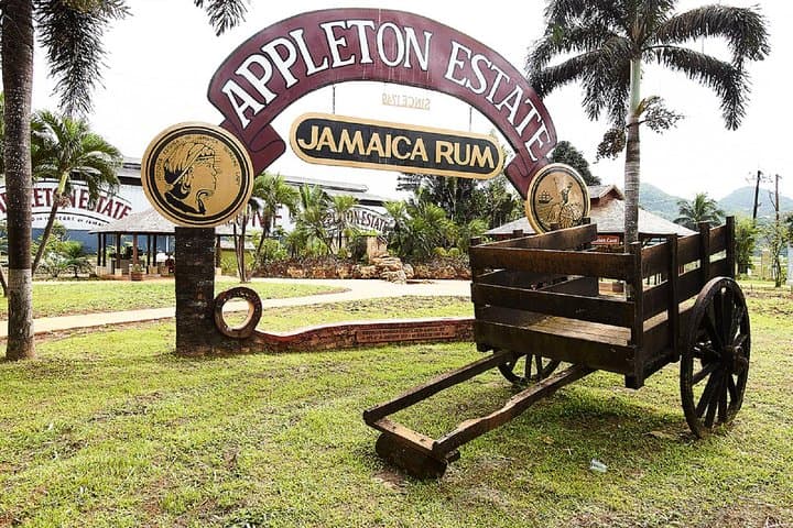 Appleton Estate Rum Tour & Tasting from Falmouth — Jamaica Distillery Day Trip photo 1