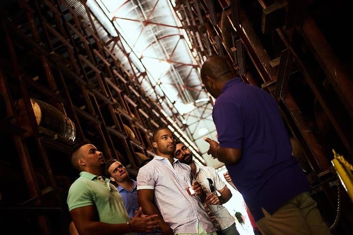 Appleton Estate Rum Tour & Tasting from Falmouth — Jamaica Distillery Day Trip photo 3