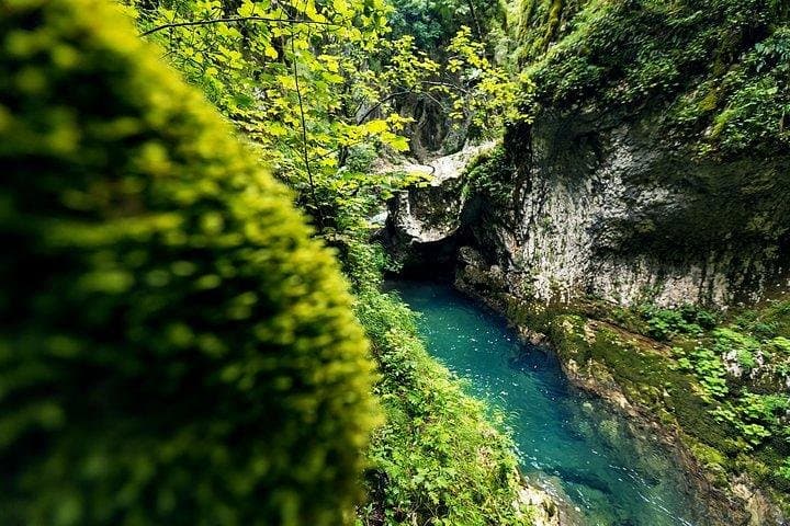 Durmitor Day Trip: Black Lake & Tara River Canyon from Podgorica photo 3