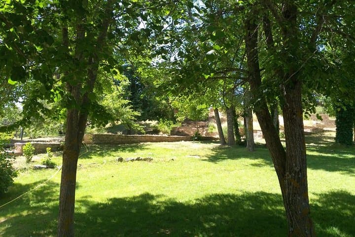 Middle Atlas Day Trip from Fez: Ifrane, Azrou & Cedar Forest Walks