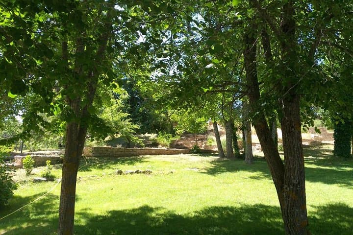 Middle Atlas Day Trip from Fez: Ifrane, Azrou & Cedar Forest Walks photo 2