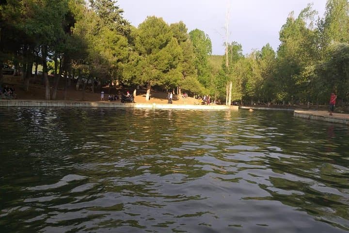 Middle Atlas Day Trip from Fez: Ifrane, Azrou & Cedar Forest Walks photo 3