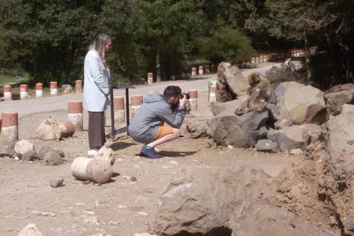 Middle Atlas Day Trip from Fez: Ifrane, Azrou & Cedar Forest Walks photo 4