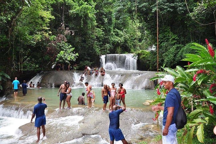 YS Falls and Pelican Bar Tour from Negril: Waterfall Swim, Boat Ride & Beach Bar photo 4