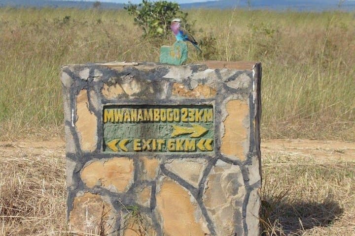 Mikumi National Park Day Trip: Full-Day Safari from Dar es Salaam photo 6