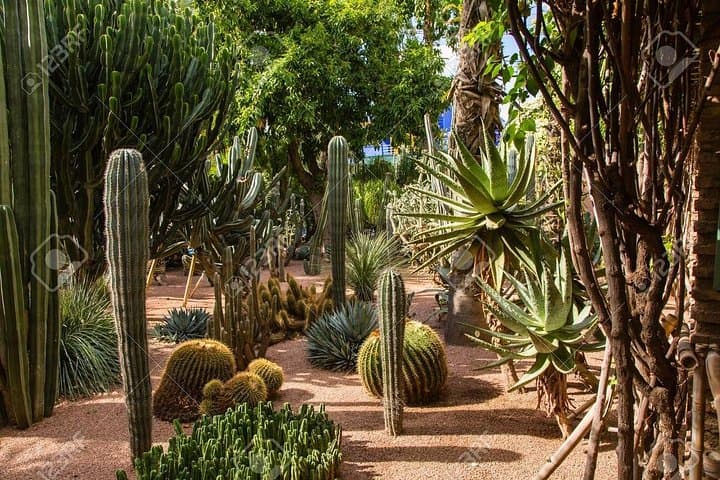 Paradise Valley Day Trip from Agadir: Guided Swim, Berber Breakfast & Argan Cooperative Visit photo 4