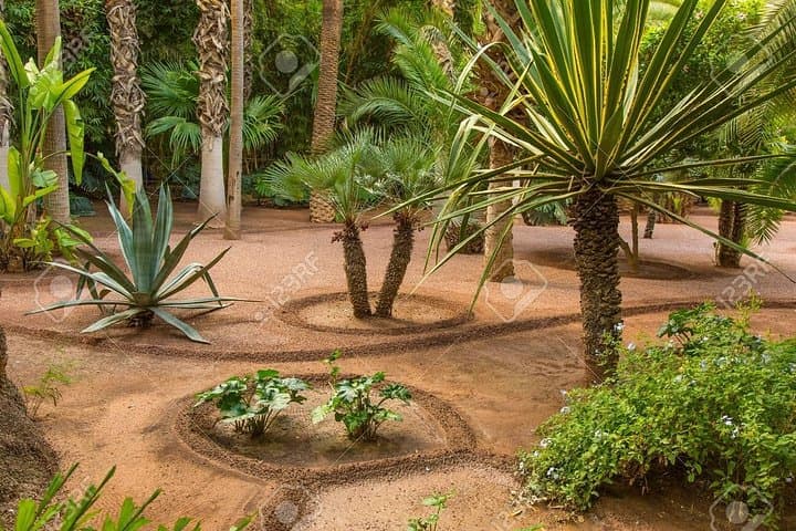 Paradise Valley Day Trip from Agadir: Guided Swim, Berber Breakfast & Argan Cooperative Visit photo 5