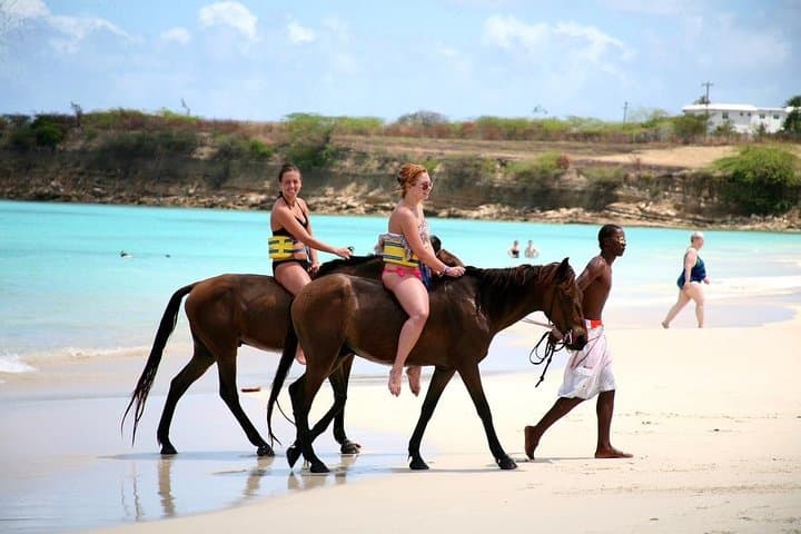 Ride to the Blue Hole: Horseback & ATV Adventure from Falmouth photo 1