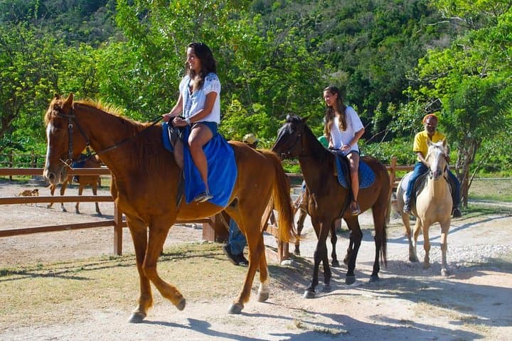 Ride to the Blue Hole: Horseback & ATV Adventure from Falmouth photo 2