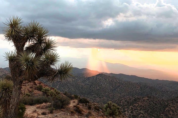 Joshua Tree Scenic Hummer Tour: Giant Boulders, Fault Lines & Desert Views photo 5