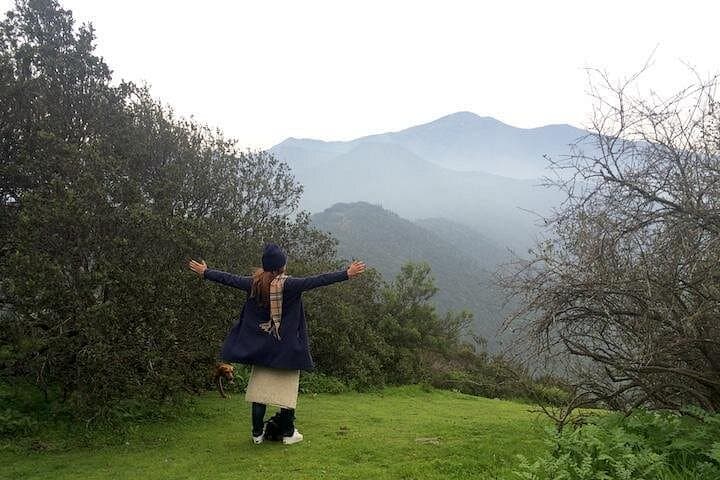 Wine Trekking in Naltahua: Hills, Wildlife & Historic Winery Near Santiago