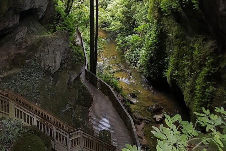 Waitomo & King Country Luxury Day Tour from Auckland — Spellbound Glowworm Caves photo 3