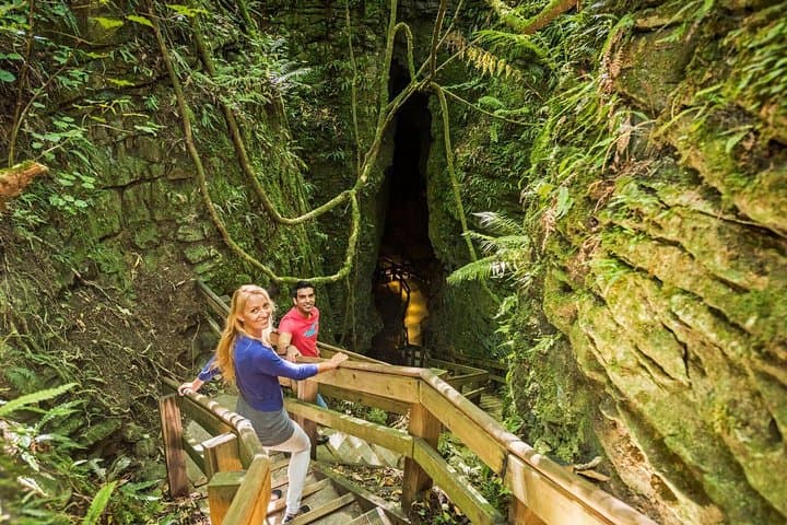 Waitomo & King Country Luxury Day Tour from Auckland — Spellbound Glowworm Caves photo 4
