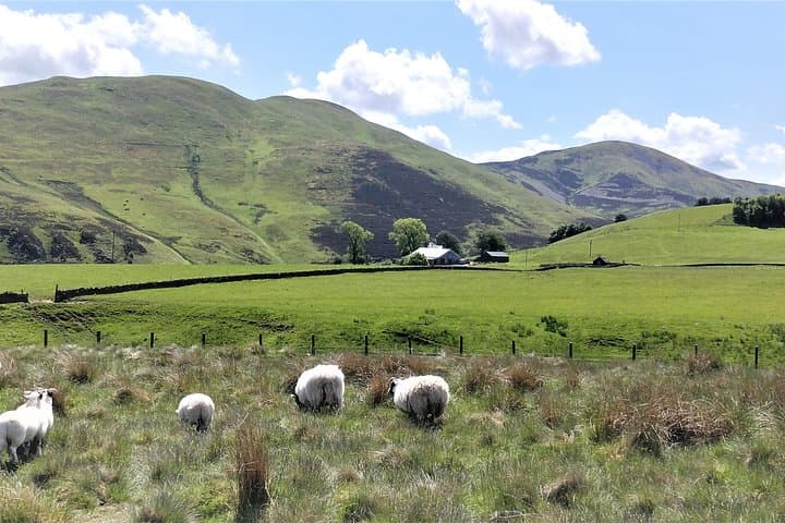 Pentland Hills Hike: Discover Edinburgh’s Wild Hills with a Local Guide photo 5
