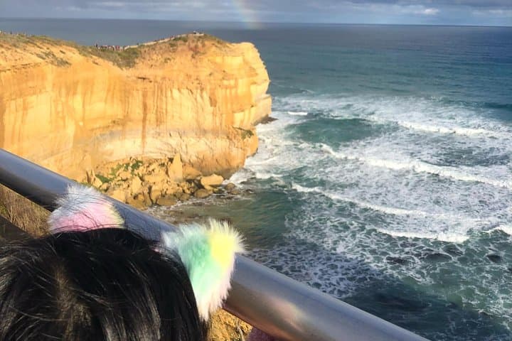 Private Great Ocean Road Local Tour: 12 Apostles, Otways & Wildlife photo 3