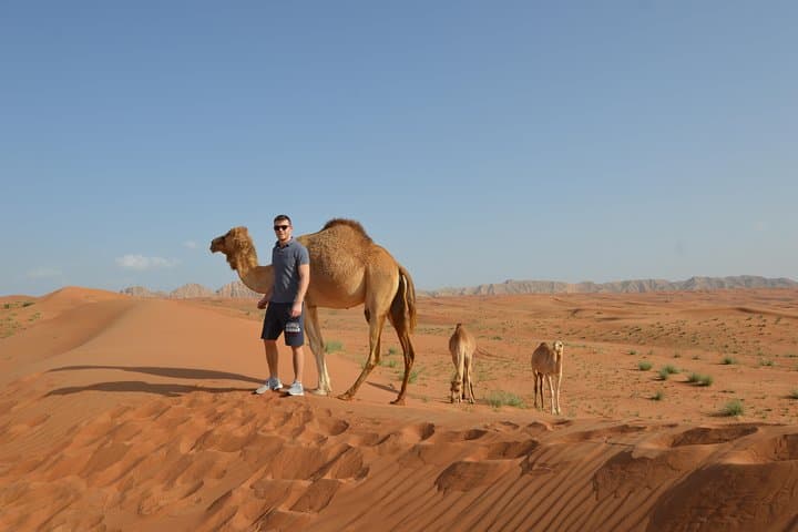 Self-Drive 4x4 Desert Dune Bash to Fossil Rock — Dubai Adventure photo 4