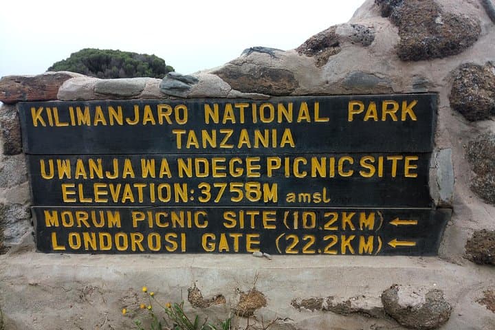 Kilimanjaro Day Hike to Marangu Lodges — Half‑Day Trek from Moshi photo 2