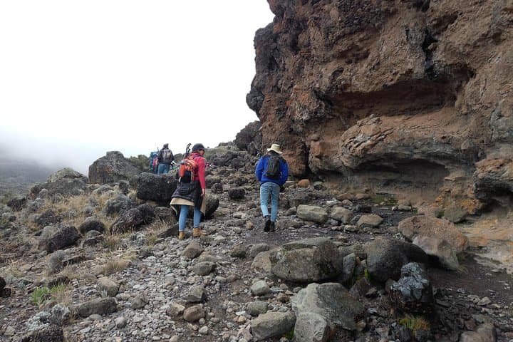 Kilimanjaro Day Hike to Marangu Lodges — Half‑Day Trek from Moshi photo 3