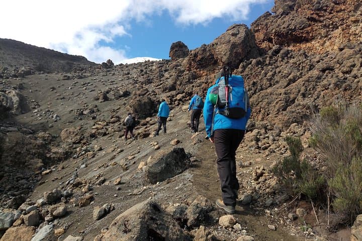 Kilimanjaro Day Hike to Marangu Lodges — Half‑Day Trek from Moshi photo 6