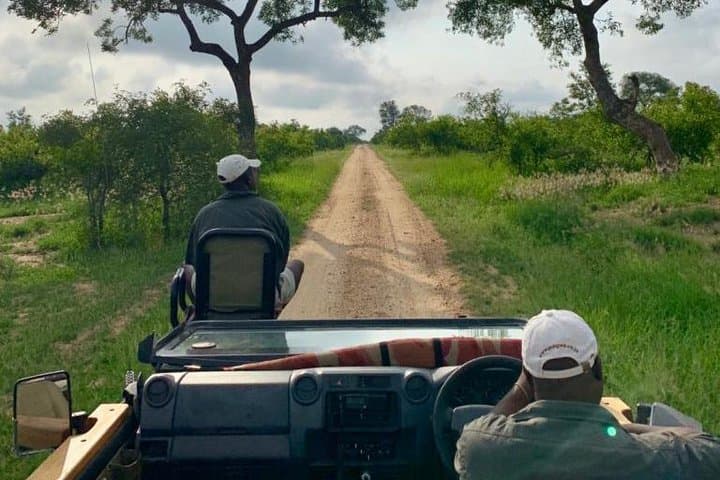 4-Day Manyeleti Private Reserve Safari — Greater Kruger Big Five Experience photo 5