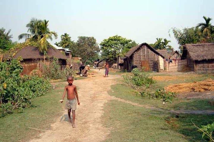 3-Day Koshi Tappu Wildlife Reserve Safari from Kathmandu photo 5
