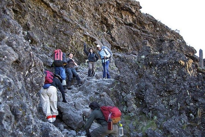 5-Day Marangu Route Climb: Hut-to-Hut Mount Kilimanjaro Summit (Uhuru Peak) photo 3