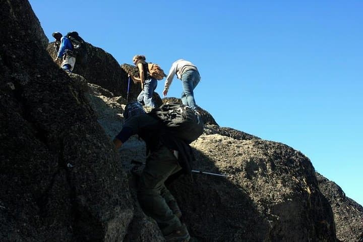 Rongai Route: 7-Day Mount Kilimanjaro Climb to Uhuru Peak