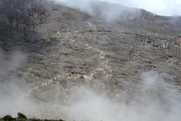 Rongai Route: 7-Day Mount Kilimanjaro Climb to Uhuru Peak photo 2