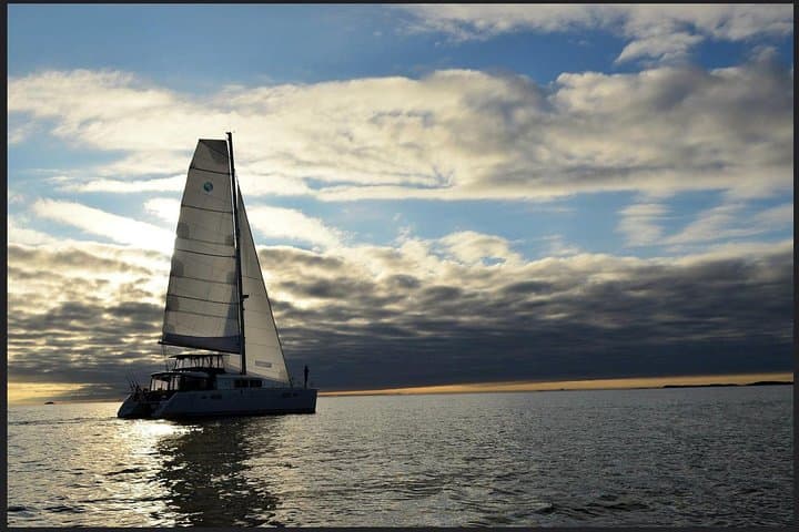 Two-Day Sailing to Risøy from Tromsø: Arctic Island Cruise & Overnight photo 6