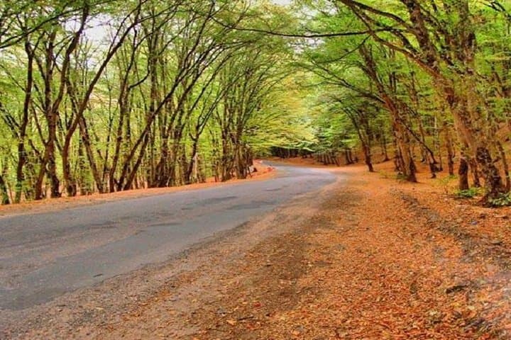 Guba & Shahdag: Private Day Tour to Quba’s Forests, Red Village & Shahdag Resort photo 2
