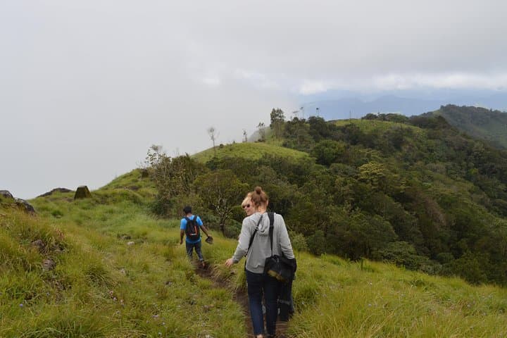4-Day Munnar, Alleppey Houseboat & Kochi: Tea Hills to Backwater Cruise photo 3