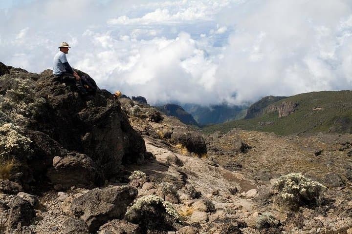 Day Hike Marangu Route to Mandara Hut — Kilimanjaro One-Day Trek