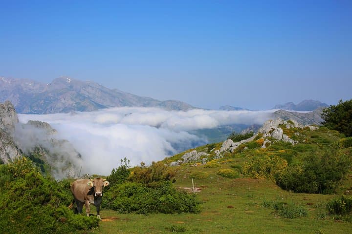 Exploring Picos de Europa: Private 4WD Adventure from Santander with Gourmet Meals photo 3